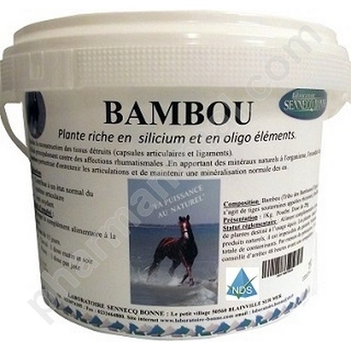BAMBOU (POUDRE)    seau/1 kg 	pdr or  ***